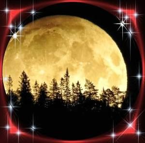 Meet your Posher, Steph